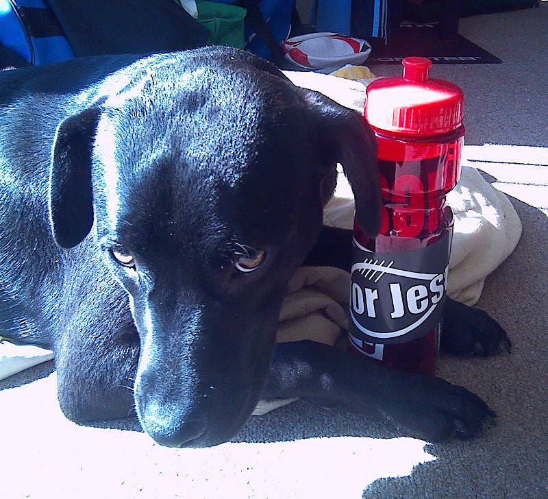 Dog Rugby Ball Size 3/4/5 BallsOutRugby