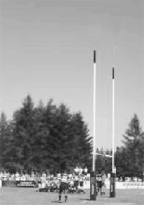 18' Goal Posts