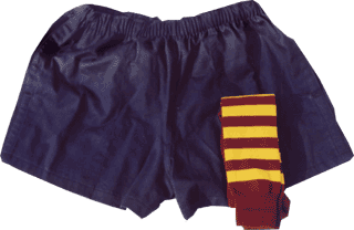 Match Pro Short and Socks- Team Special
